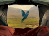 GO Outdoors launches TV and digital campaign celebrating life outdoors